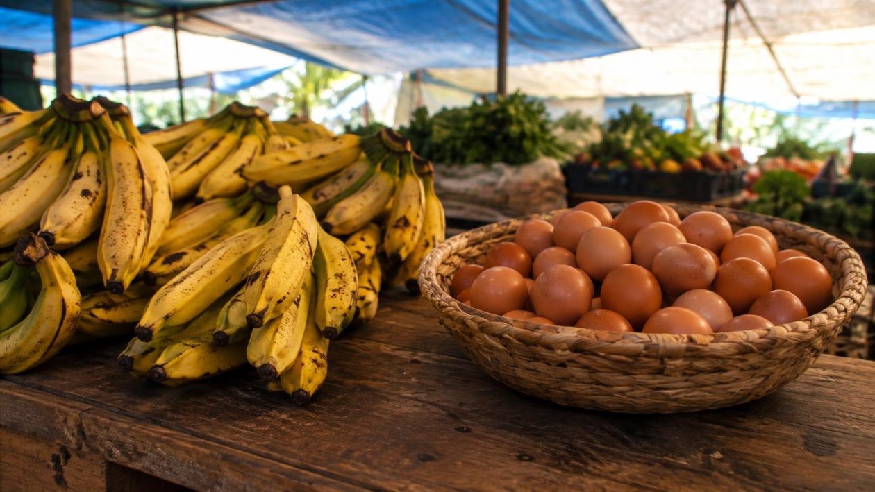 Por que a gente compra ovo e banana por dúzia, e não por dez