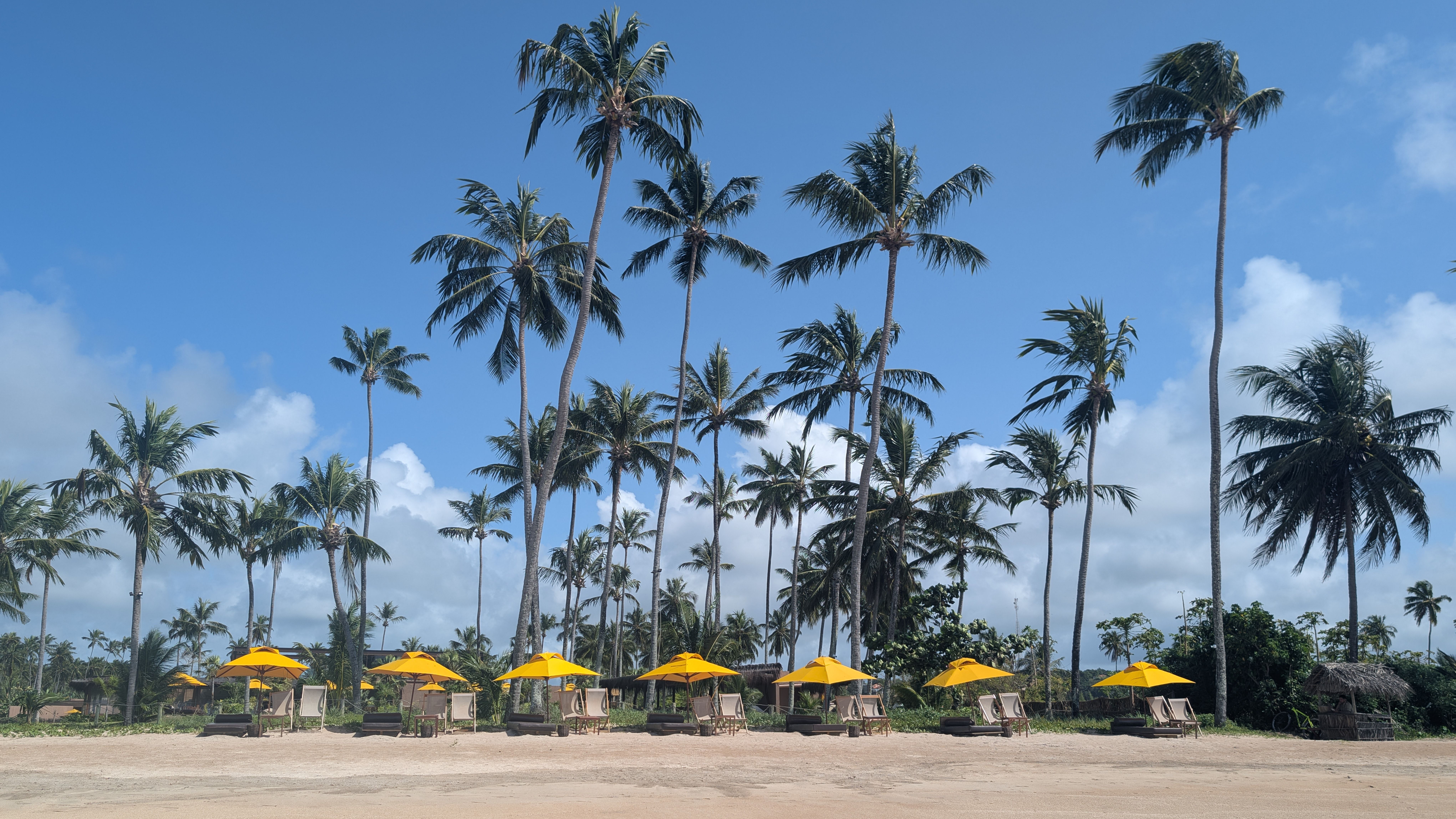 Rota Ecológica de Alagoas: São Miguel dos Milagres e a Praia do Patacho em quatro dias