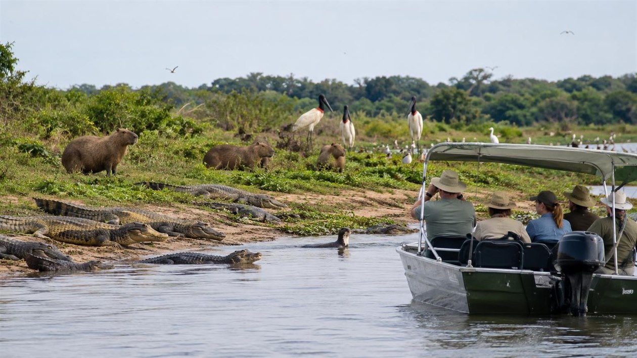 Pantanal mato-grossense: a estrada Transpantaneira, de Poconé a Porto Jofre