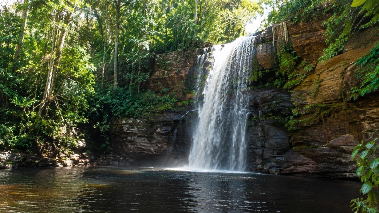 Presidente Figueiredo, no Amazonas: três dias de cachoeiras e grutas a duas horas de Manaus