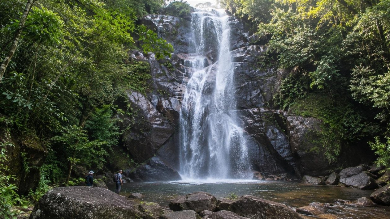 Parque Nacional do Itatiaia, no Rio de Janeiro