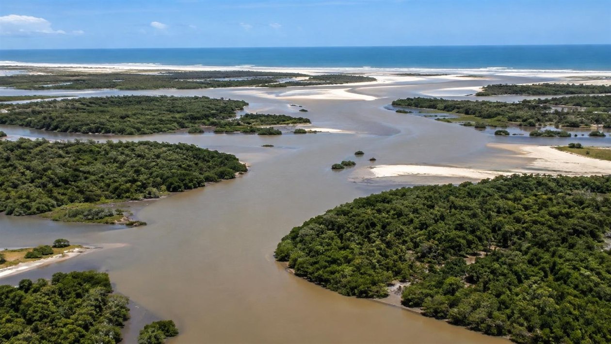Parnaíba e o Delta do Parnaíba, no Piauí: quatro dias entre ilhas de mangue, dunas e a Pedra do Sal
